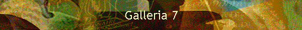 Galleria 7