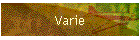 Varie